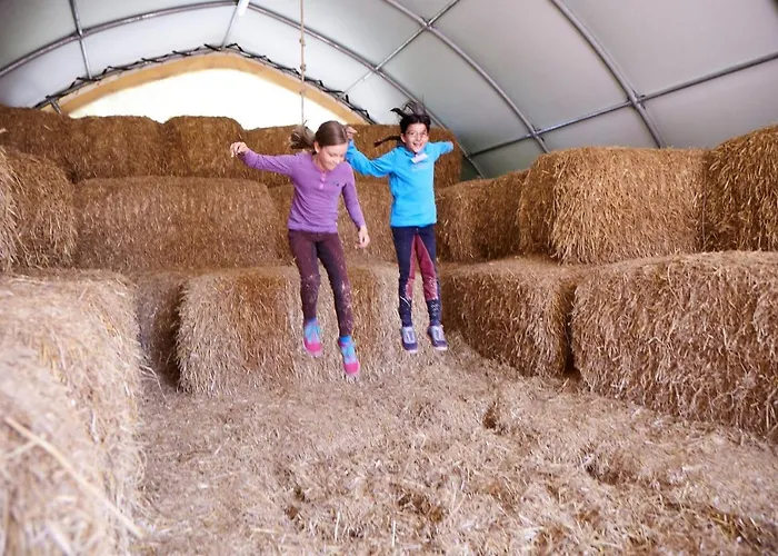 Sperlingslust Appartement *